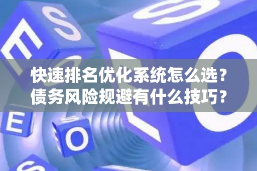 快速排名优化系统怎么选？债务风险规避有什么技巧？