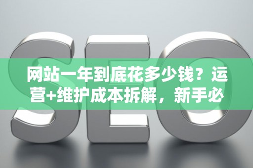 网站一年到底花多少钱?运营+维护成本拆解,新手必看 网站一年到底花多少钱?运营+维护成本拆解,新手必看